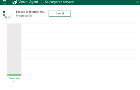 Lancer la sauvegarde avec Backup Now